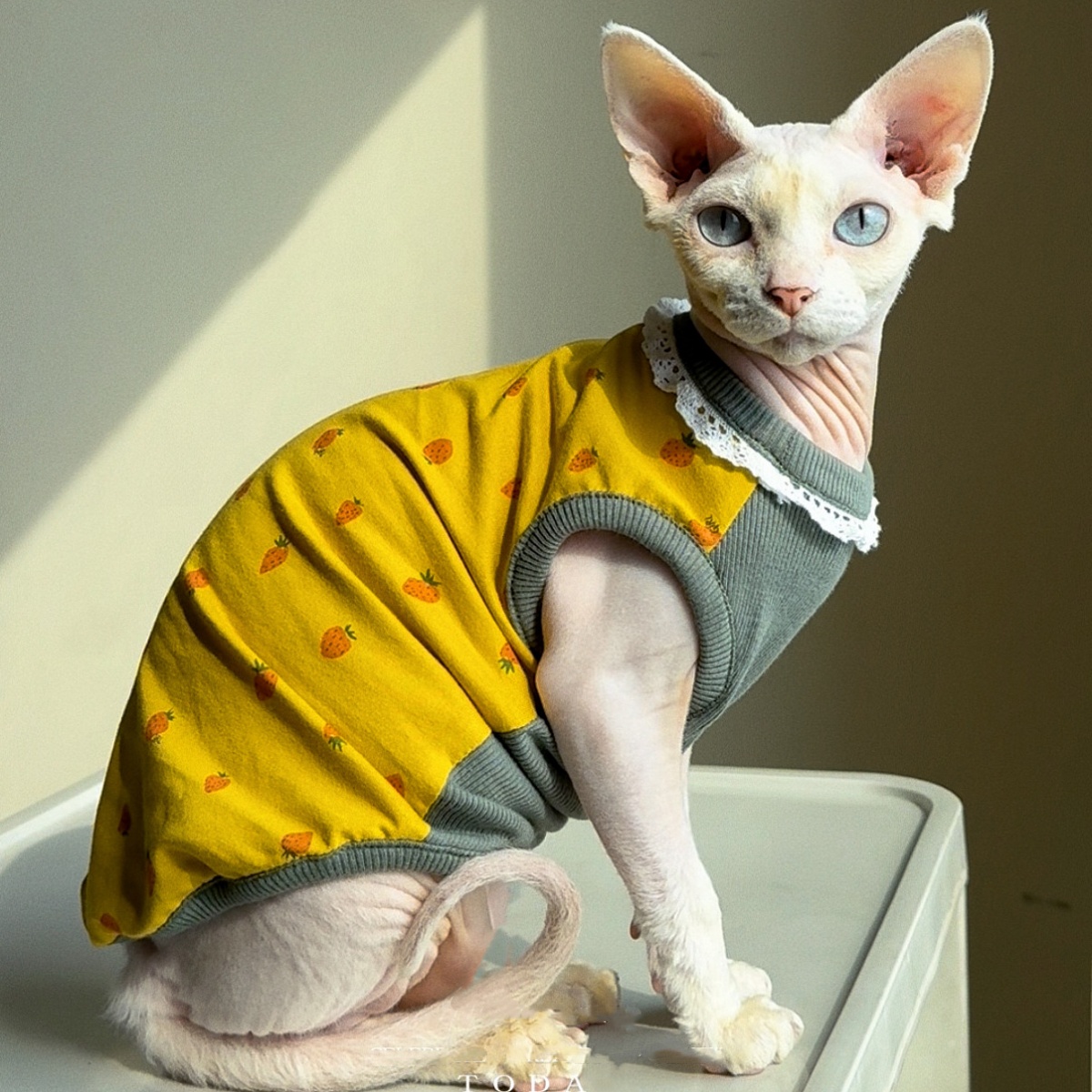 Summer Green Clothing - Pakaian untuk Kucing Rompi Kerah Renda