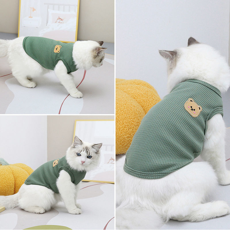 1 buah rompi beruang hijau pak - Summer Green Clothing ulasan dan harga